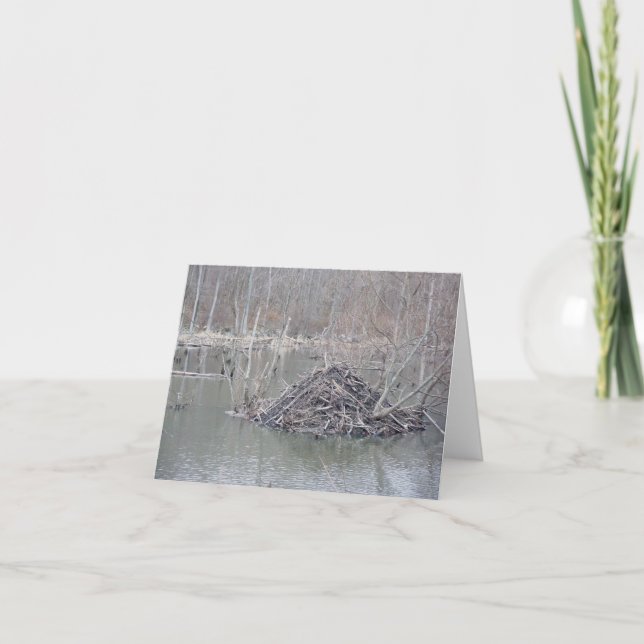 Carte de note Beaver Lodge #1 (Devant)