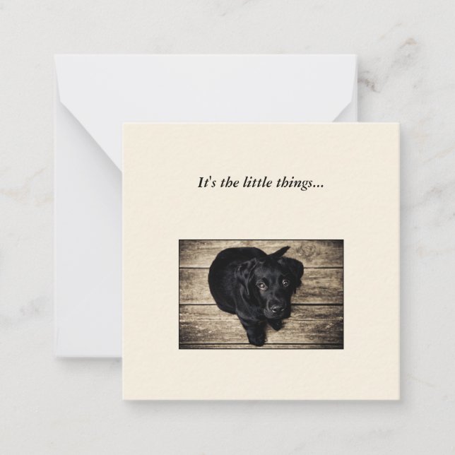Carte de note Black Dog Mini Thank You (Devant)