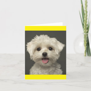 Carte de note blanche Chien Chien Chien Chien Blan