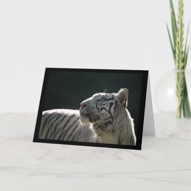 CARTE DE NOTE BLANCHE DE BLANC DE TIGRE (Devant)
