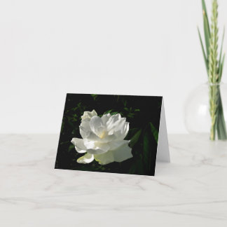 Carte de note blanche de fleur de gardénia