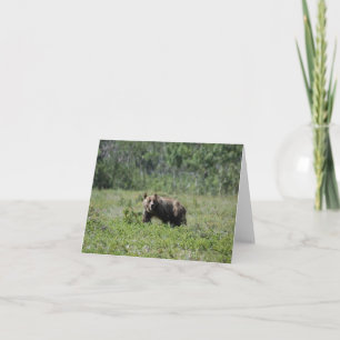 Carte de note blanche de la photo de l'ours