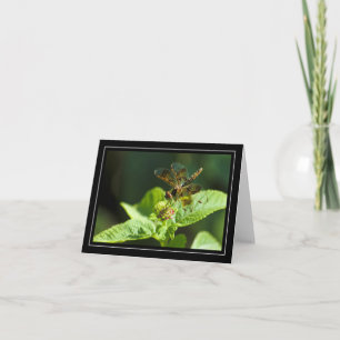 Carte de note blanche de libellule