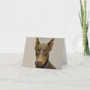 Carte de note blanche Doberman