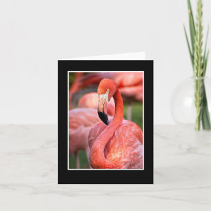 Carte de note blanche Flamant rose rose