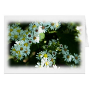 Carte de note blanche Fleur Fleur Daisy Wild