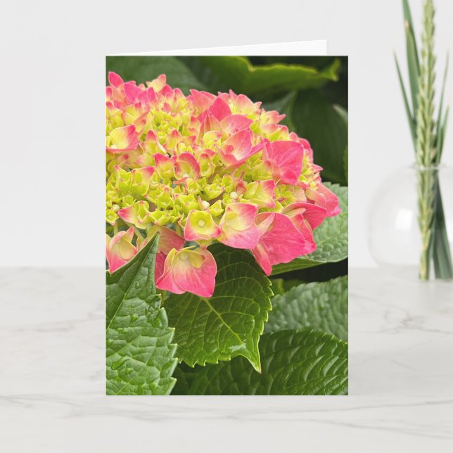 Carte de note blanche Hydrangea (Devant)