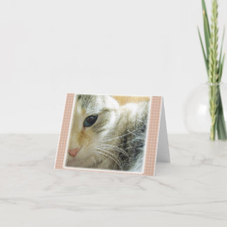 Carte de note blanche Kitty pacifique