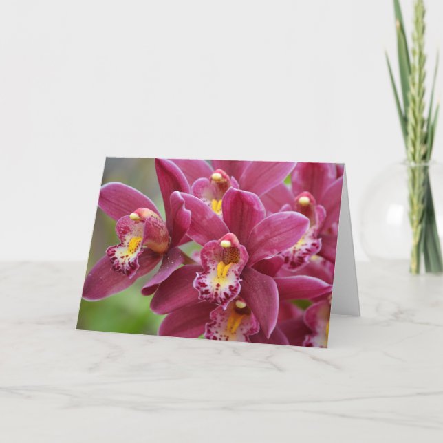 Carte de note blanche Magenta Orchidées (Devant)