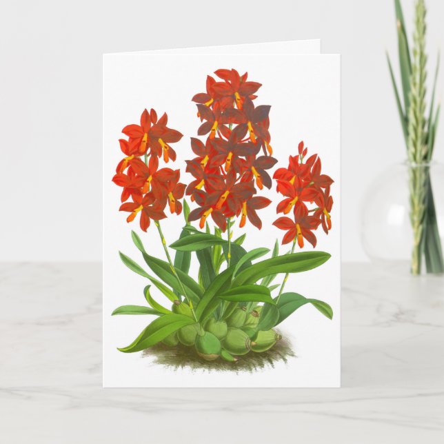 Carte de note blanche orangée rouge orchidée (Devant)