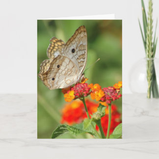 Carte de note blanche Papillon Peacock