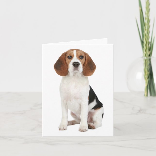 Carte de note blanche pour chien beagle (Devant)