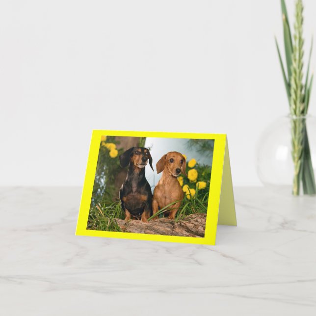 Carte de note blanche pour Chien Chien Chien Chien (Devant)
