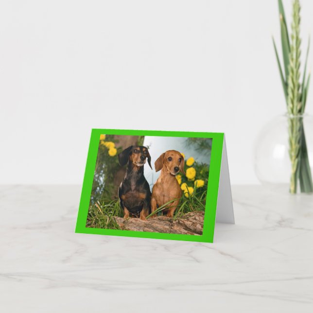 Carte de note blanche pour Chien Chien Chien Chien (Devant)