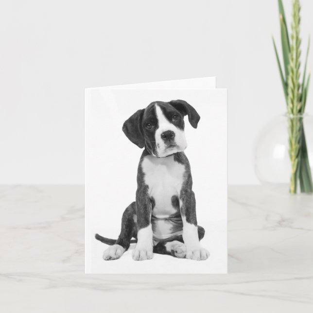 Carte de note blanche pour chien de boîte (Devant)