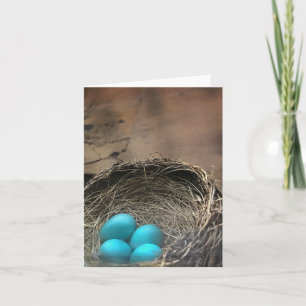 Carte de note blanche pour les oeufs Robin