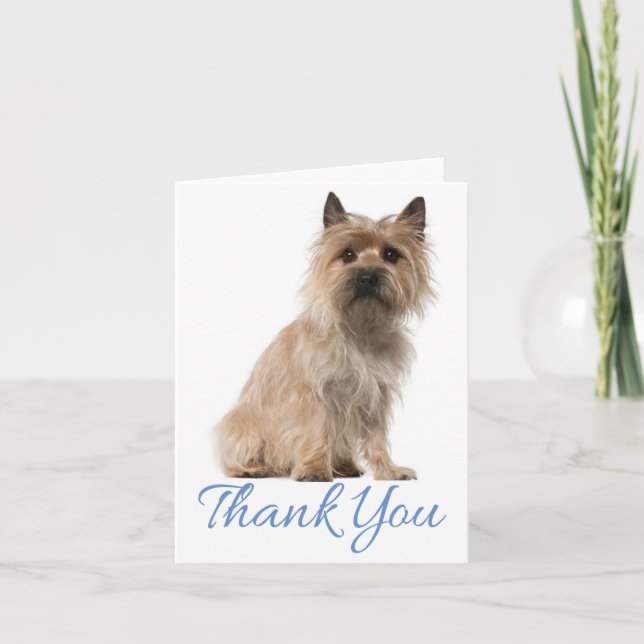 Carte de note blanche pour Merci de Chien Chien Ch (Devant)