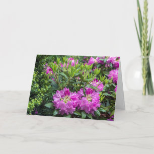 Carte de note blanche rose Rhododendron
