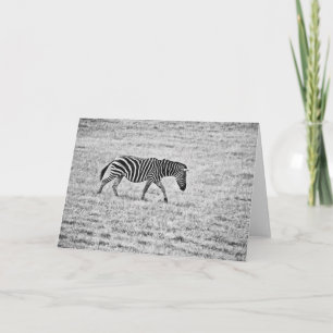 Carte de note blanche Zebra Walk