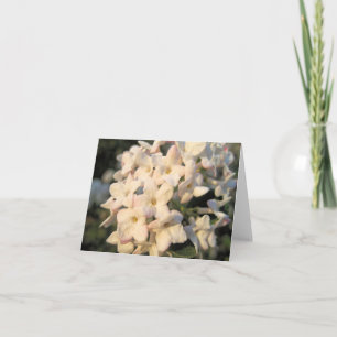 Carte de note Blooms blancs