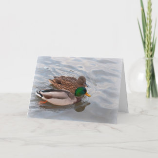 Carte de note : Canards de Mallard