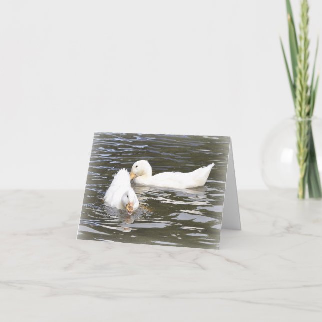 Carte de note : Canetons d'Aylesbury (Devant)