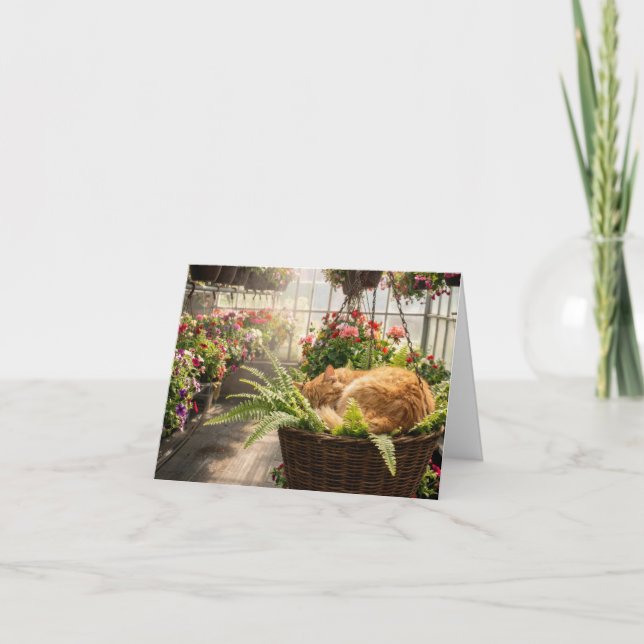 Carte de note Chat faisant la sieste dans un panie (Devant)