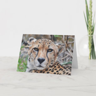 Carte de note Cheetah Cat Art Portrait