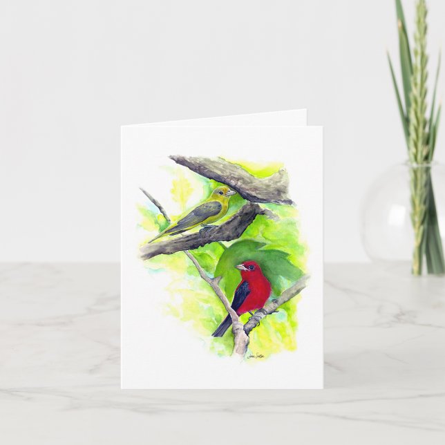 Carte de note Couple Scarlet Tanager (Scarlet Tanager Couple Blank Note Cards from Jenn Steffen Art)