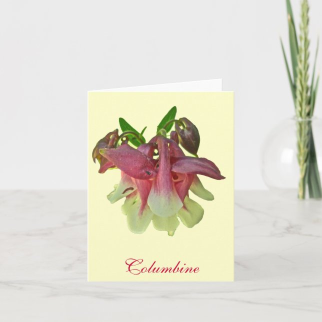 Carte de note cultivée de Columbine (Devant)