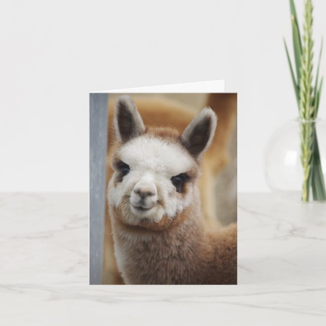 Carte de note Cute Alpaca (Devant)