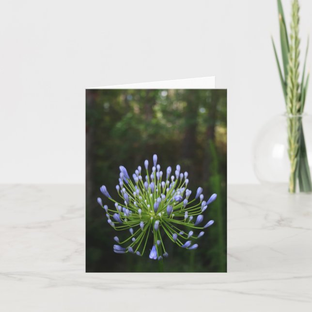 Carte de note d'Agapanthus (Devant)