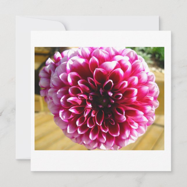 Carte de note Dahlia Dahlia Dahlia (Devant)