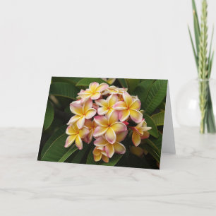Carte de note d'art de Plumeria