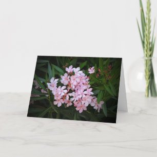 Carte de note d'art photographique Fleurs roses sp
