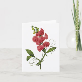 Carte de note de blanc d'aquarelle de pois doux
