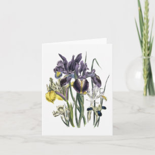 Carte de note de blanc d'aquarelle d'iris