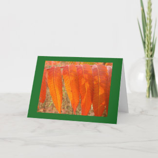 Carte de note de blanc de feuille de sumacs