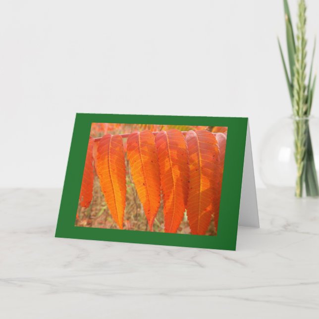 Carte de note de blanc de feuille de sumacs (Devant)