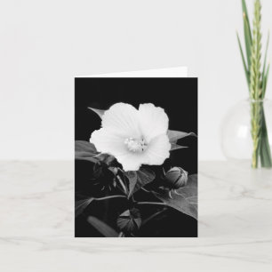 Carte de note de blanc de mauve rose de B&W