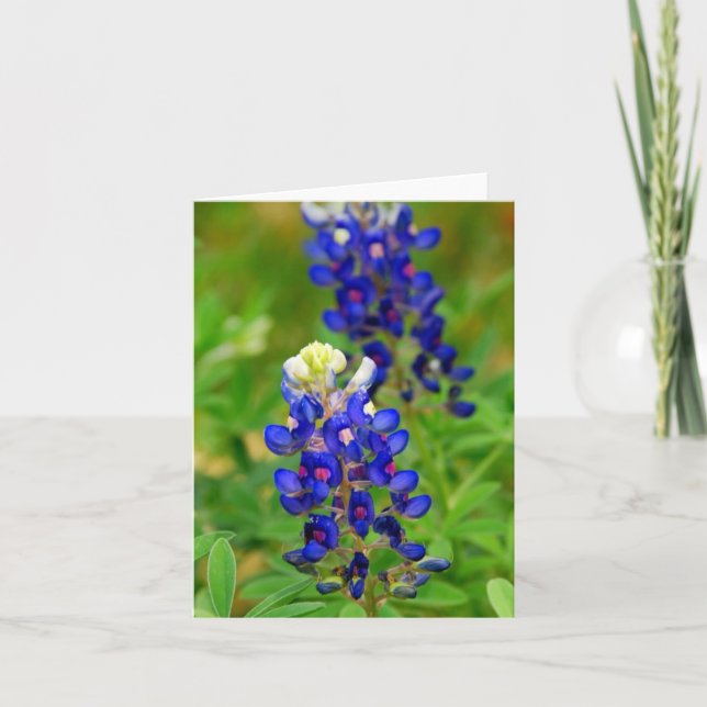 Carte de note de Bluebonnet de Texas (Devant)