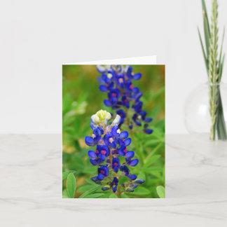 Carte de note de Bluebonnet de Texas