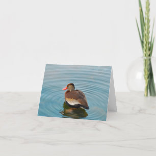 Carte de note de canard (blanc)