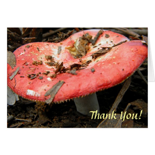 Carte de note de champignon rouge (Devant Horizontal)