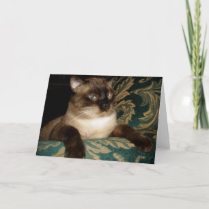 Carte de note de chat siamois à la moue
