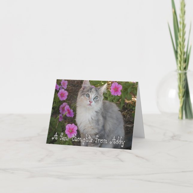 Carte de note de chaton (Devant)