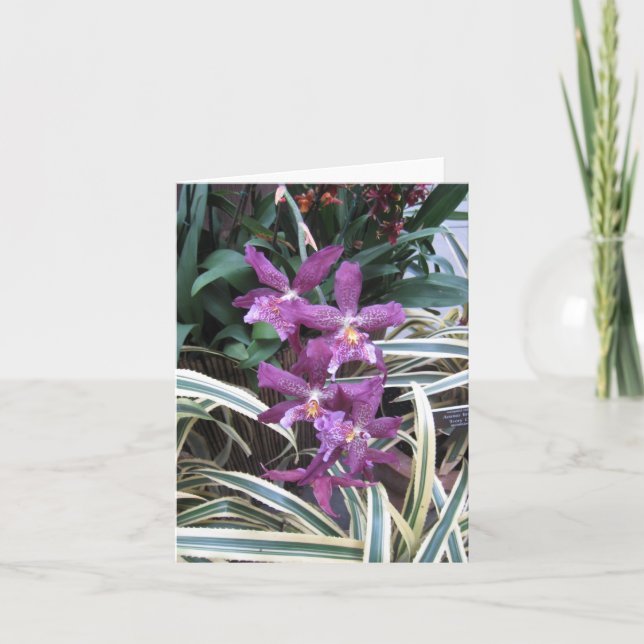 Carte de note de cluster orchidée (Devant)
