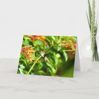 Carte de note de colibri<Blank Inside>