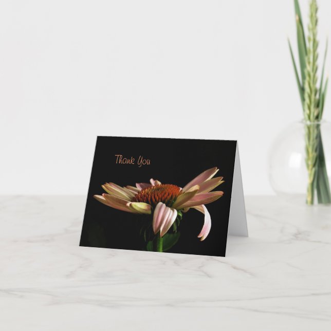 Carte de note de Conflower rose Merci (Devant)