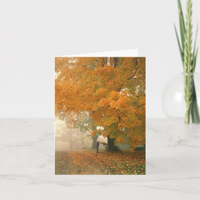 Carte de note de courrier de matin (Devant)